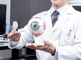 눈 모형을 활용해 안구 구조를 설명하는 안과 의료진